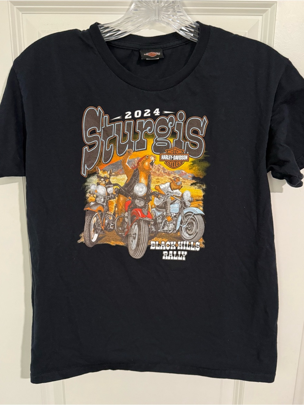 Harley-Davidson Kids' 2024 Sturgis Black T-Shirt